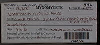 Image Associated With the Occurence